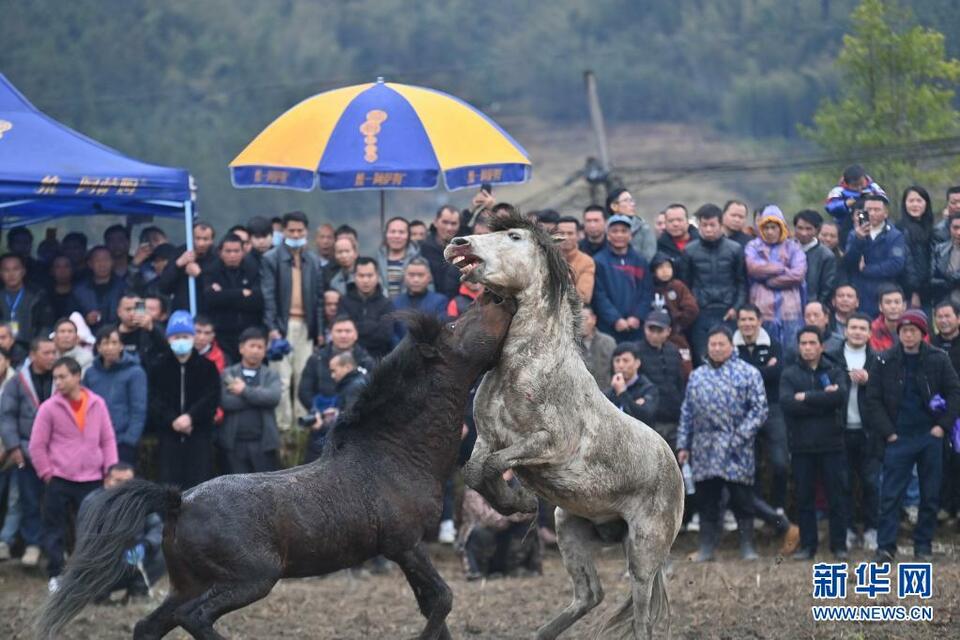 广西融水：坡会带动旅游复苏