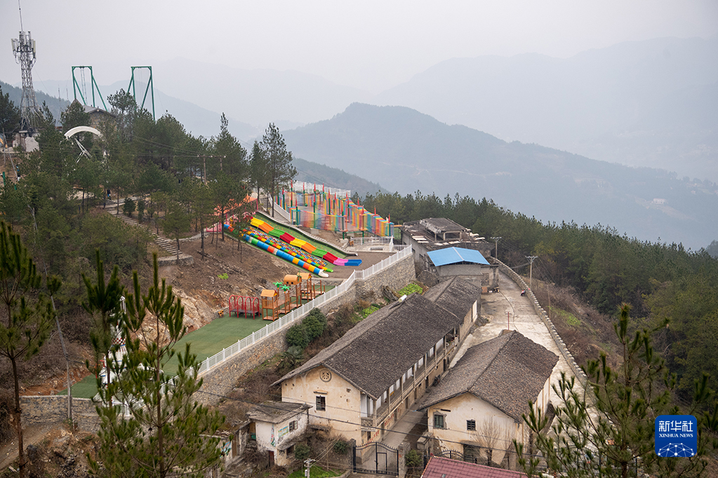 【城市远洋】“有诗有橙有远方”——“诗橙”奉节走出农文旅绿色蝶变新路