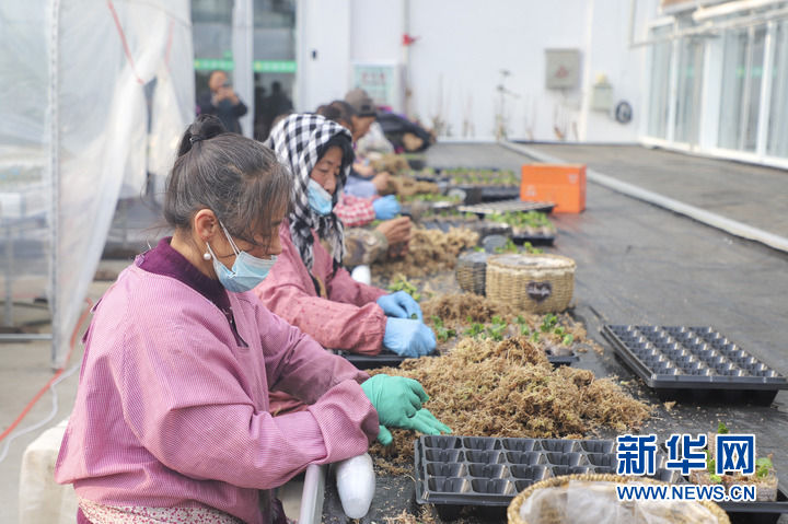 人勤春来早 吉林各地按下发展“快进键”