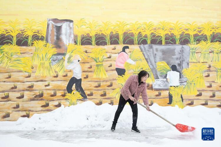 黑土地上春潮涌动——东北三省乡村振兴观察