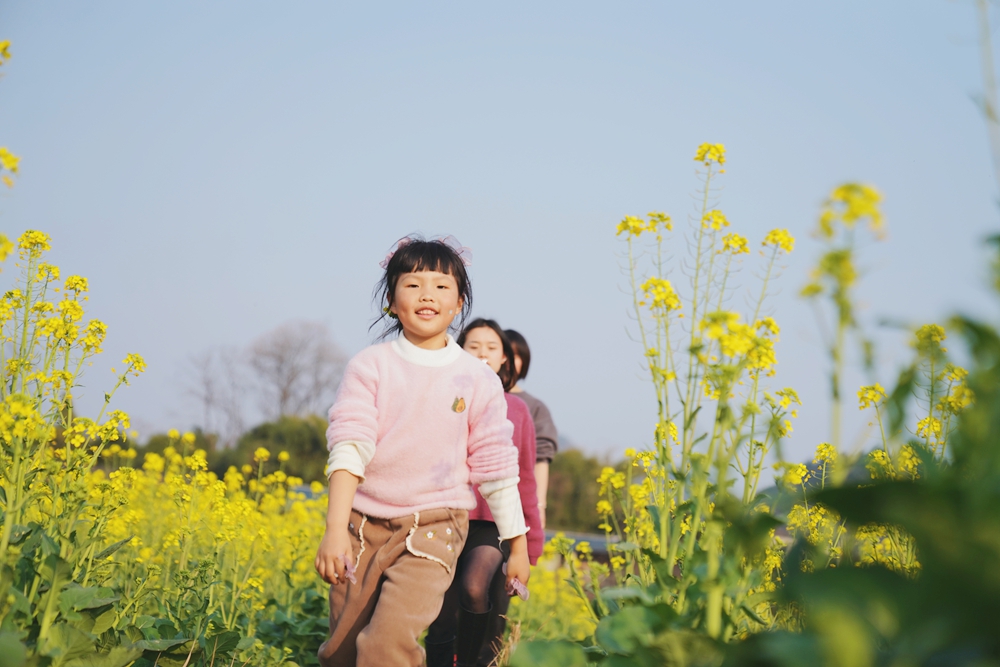 （供稿）贵州思南：油菜花绽放 春意渐浓_fororder_孩子们在油菜花田里玩耍（孙磊 摄）.JPG