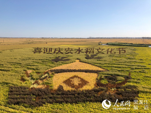 【新时代东北振兴】绥化：“都城地”建设结硕果 高质量发展谱新篇