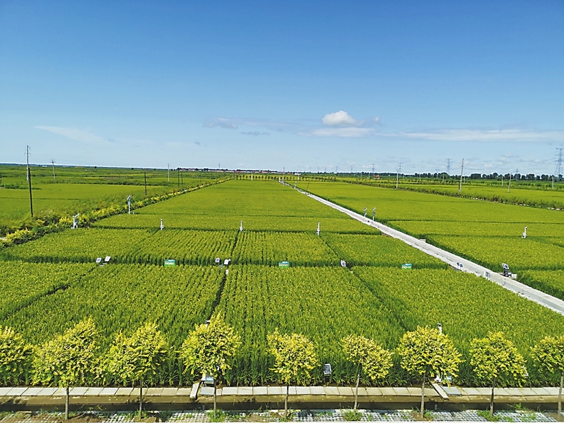 吉林省加快水利基础设施建设保障粮食丰收