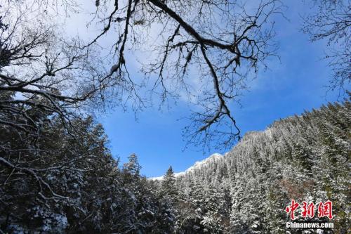 震后九寨沟开门迎客：大自然的神奇还在继续