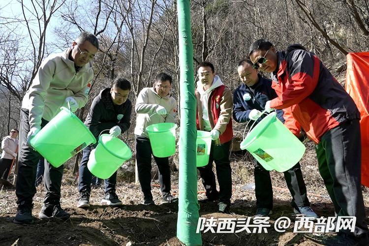 （转发）趁着周末植树去！400余名志愿者在西安翠华山下种下生态树