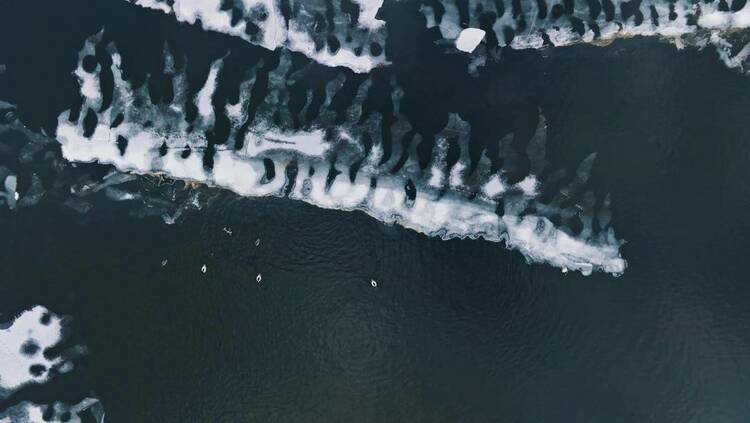 你好“鸭”，春雪！