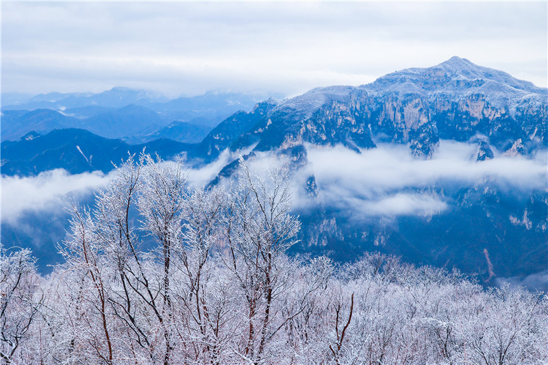 焦作云台山：雪后雾凇云海似仙境_fororder_mmexport1676257218904