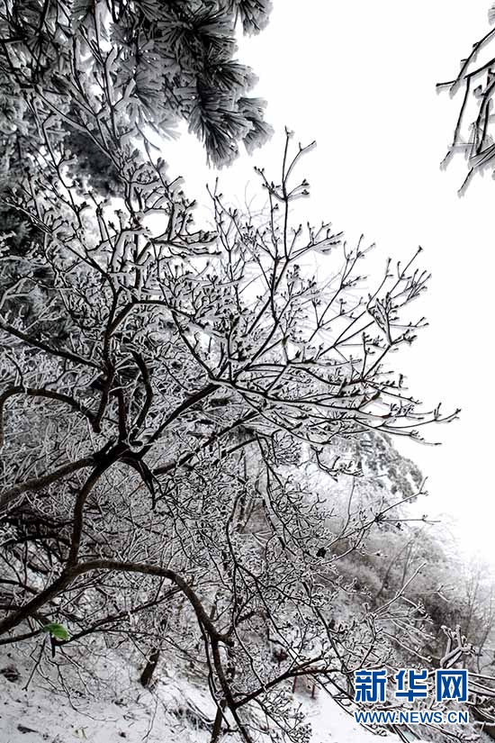 湖北麻城龟峰山春雪雾凇若水墨