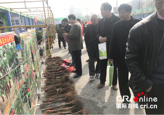 【地市 显示图在稿件最下方＋三秦大地 西安】苗木花卉产业助力陕西周至拓宽脱贫致富路