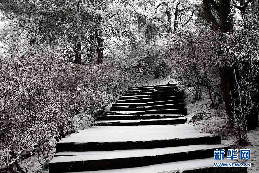 湖北麻城龟峰山春雪雾凇若水墨