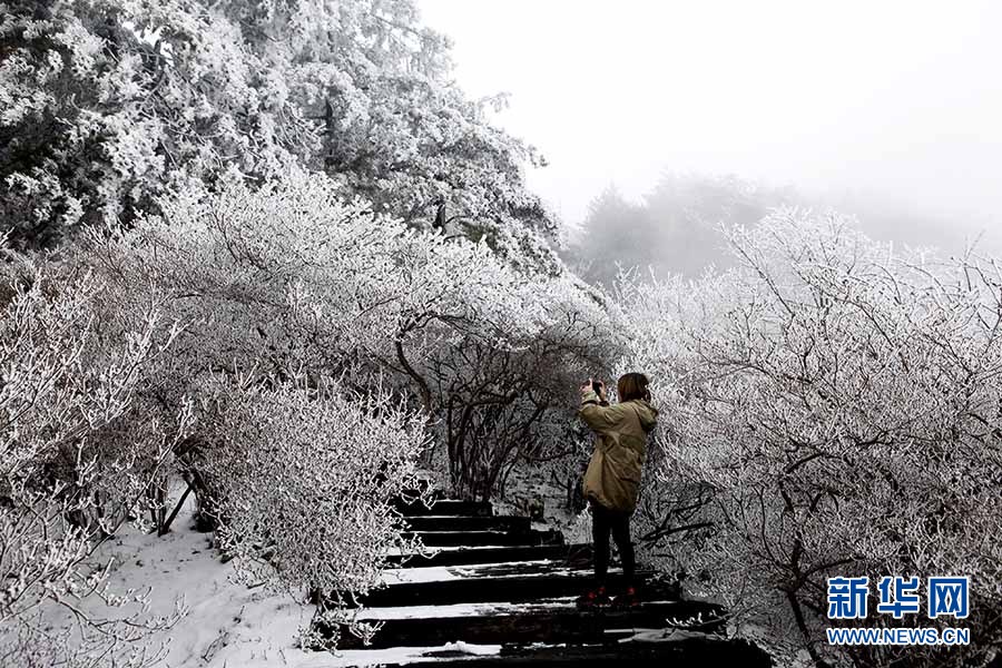 湖北麻城龟峰山春雪雾凇若水墨