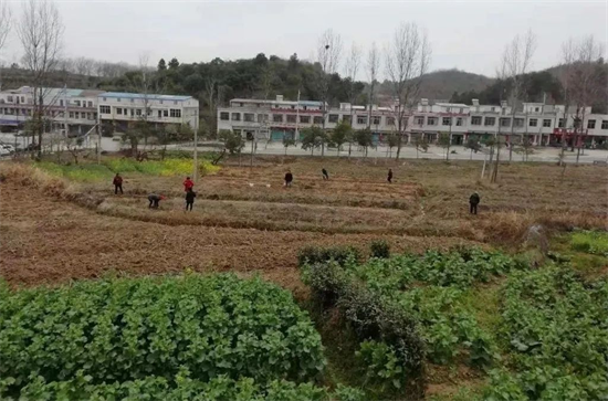 【原创】信阳新县：老区春耕正忙_fororder_春忙田地间 新县宣传部供图