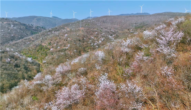 湖北荆门：春约东宝山水间 古道秘境受热捧_fororder_图片1