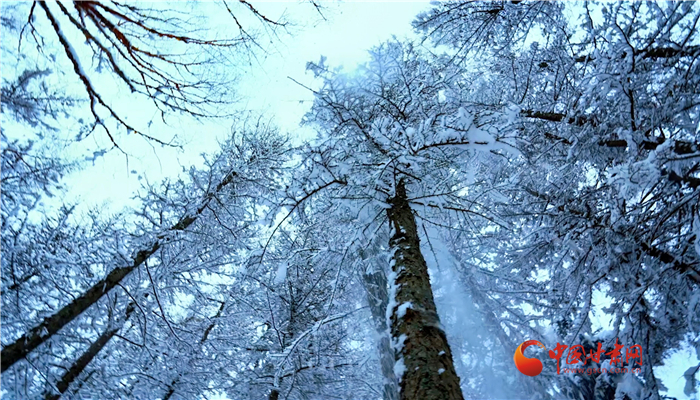 【平凉】平凉华亭：关山雪景勾勒水墨世界_fororder_66