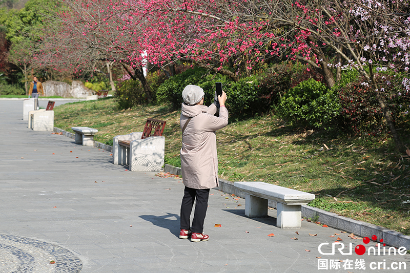 贵州安顺龙宫：遍地花开观奇景