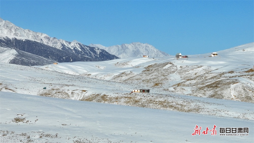 【轮播】武威肃南祁连山：牧群点点山峦间 群峰披银满目景_fororder_3