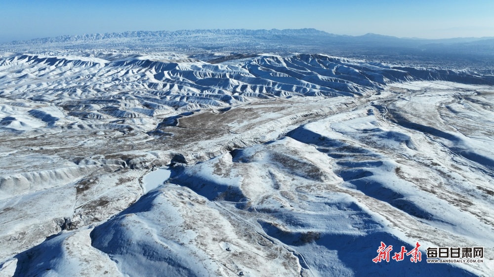 【轮播】武威肃南祁连山：牧群点点山峦间 群峰披银满目景_fororder_4