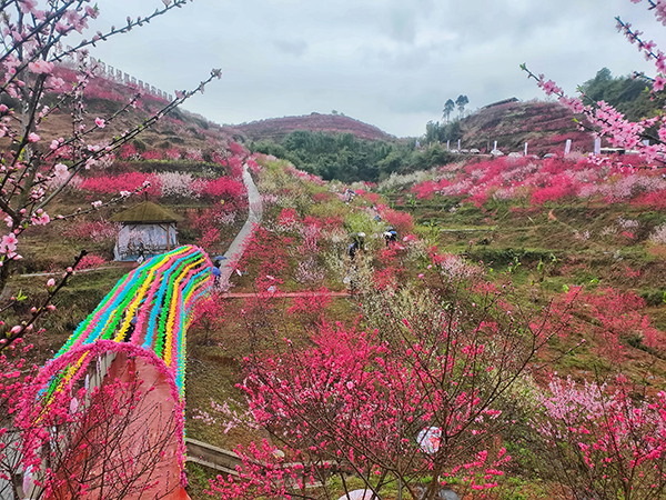 纳溪区龙湖水香图片