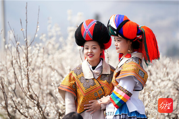 贵州纳雍：万亩樱桃花开引客来 “花海经济”带火乡村旅游