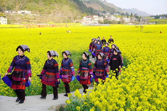 贵州麻江坝芒布依族乡举行建乡30周年庆祝活动_fororder_微信图片_20230314113125