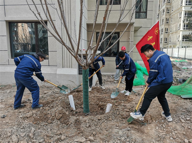 中国二冶曹家巷项目党支部开展植树节活动_fororder_图片1