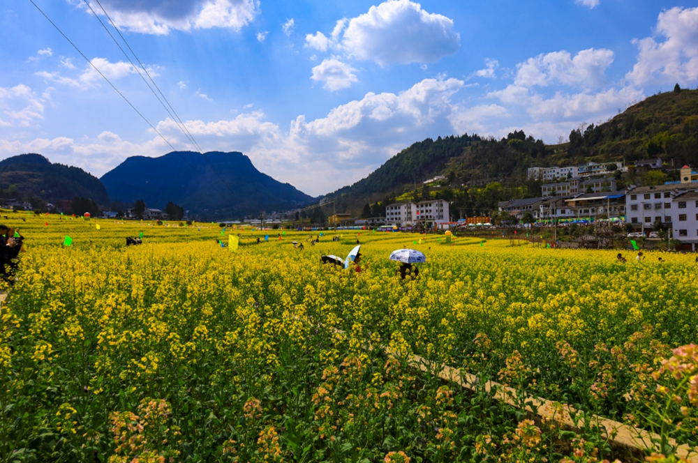 【多彩贵州•花漾中国】贵州遵义：“春日寻芳”踏青赏花好去处_fororder_微信图片_20230315115248