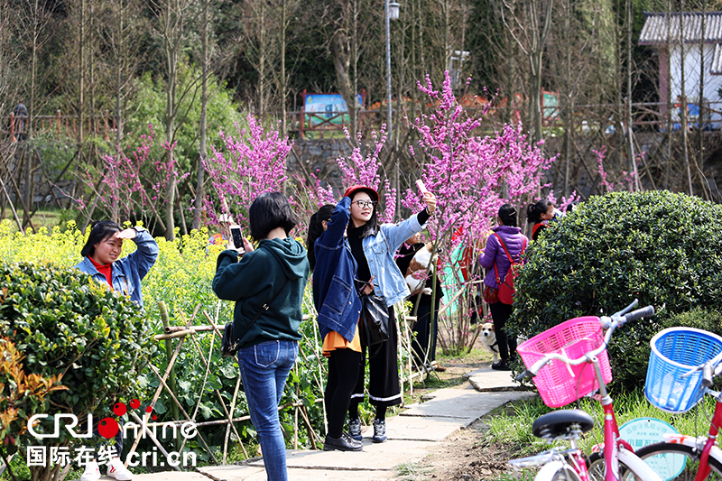 （已过审/旅游/焦点图）贵阳花溪十里河滩春意浓