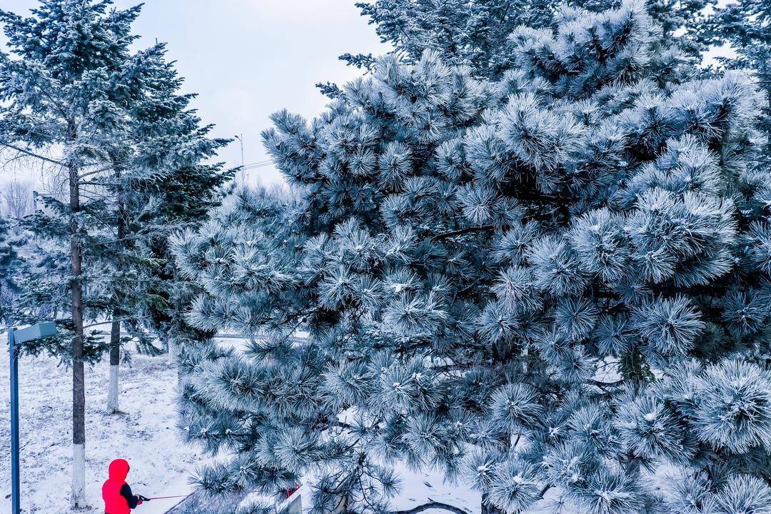 当“雨水”邂逅风雪！沈阳，美得让人猝不及防