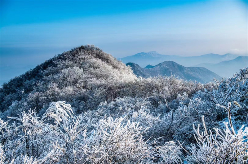 【原创】信阳新县：初春雾凇惹人醉_fororder_连绵起伏的山峦若隐若现 （党智华 摄）