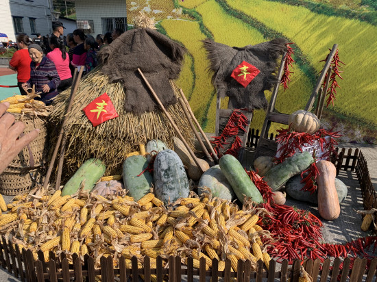 【区县联动 列表】迎丰收晒丰收 重庆巴南喜迎2019年中国农民丰收节【区县联动】【巴南】重庆巴南喜迎2019年中国农民丰收节