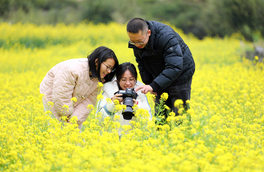 广西：春花烂漫时 乡村美如画