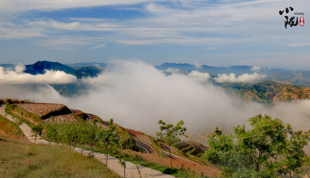 【转载】【乡村振兴专题】天水武山：绿水青山生态美 景色如画引客来_fororder_3