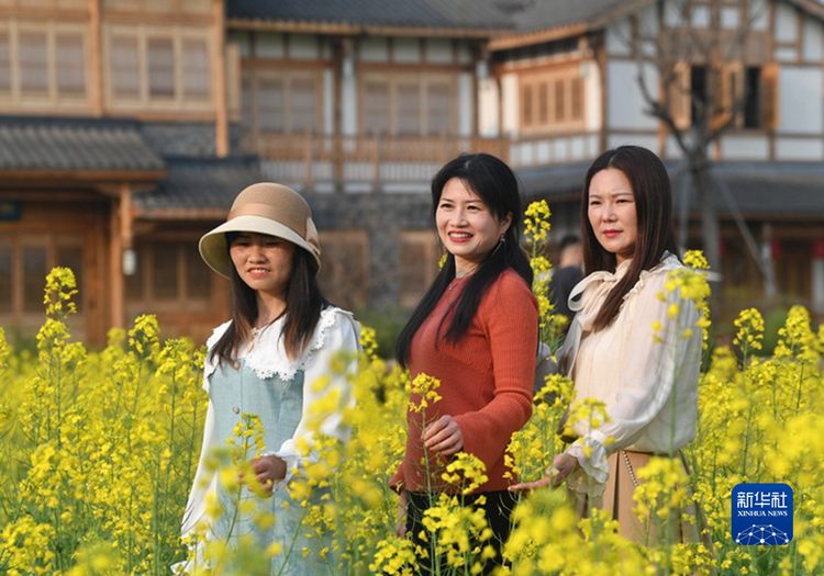 （转载）油菜花田绕民居 春色如画醉游人