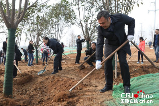 【三秦大地 西安】种下一棵树 守住一片绿 浐灞生态区举办媒体植树活动