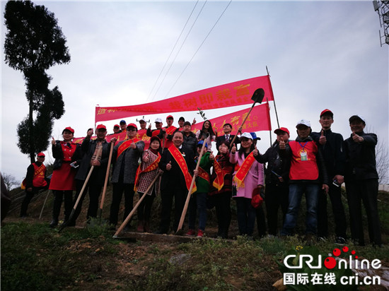 【CRI专稿 列表】重庆“红樱桃 春日植爱”志愿行动：播种希望 为爱种植