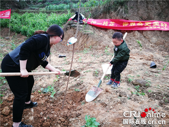 【CRI专稿 列表】重庆“红樱桃 春日植爱”志愿行动：播种希望 为爱种植