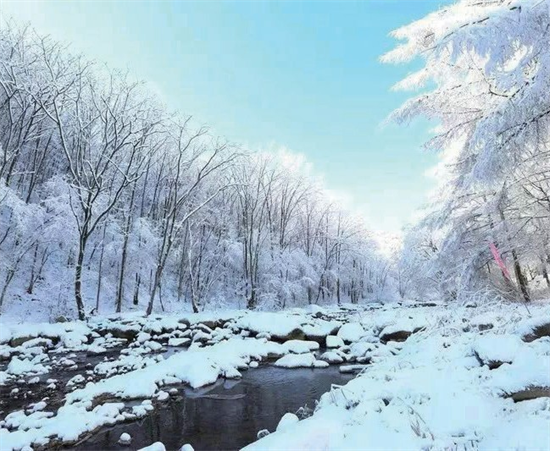 穿越林海雪原冰雪旅游线路 追寻抗联路先烈足迹_fororder_图片2