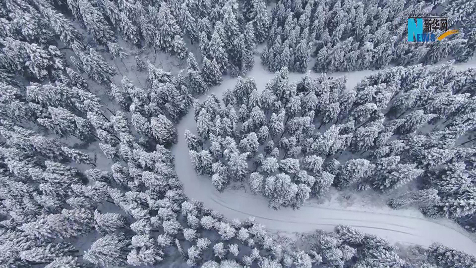 湖北咸丰：飞雪踏春来