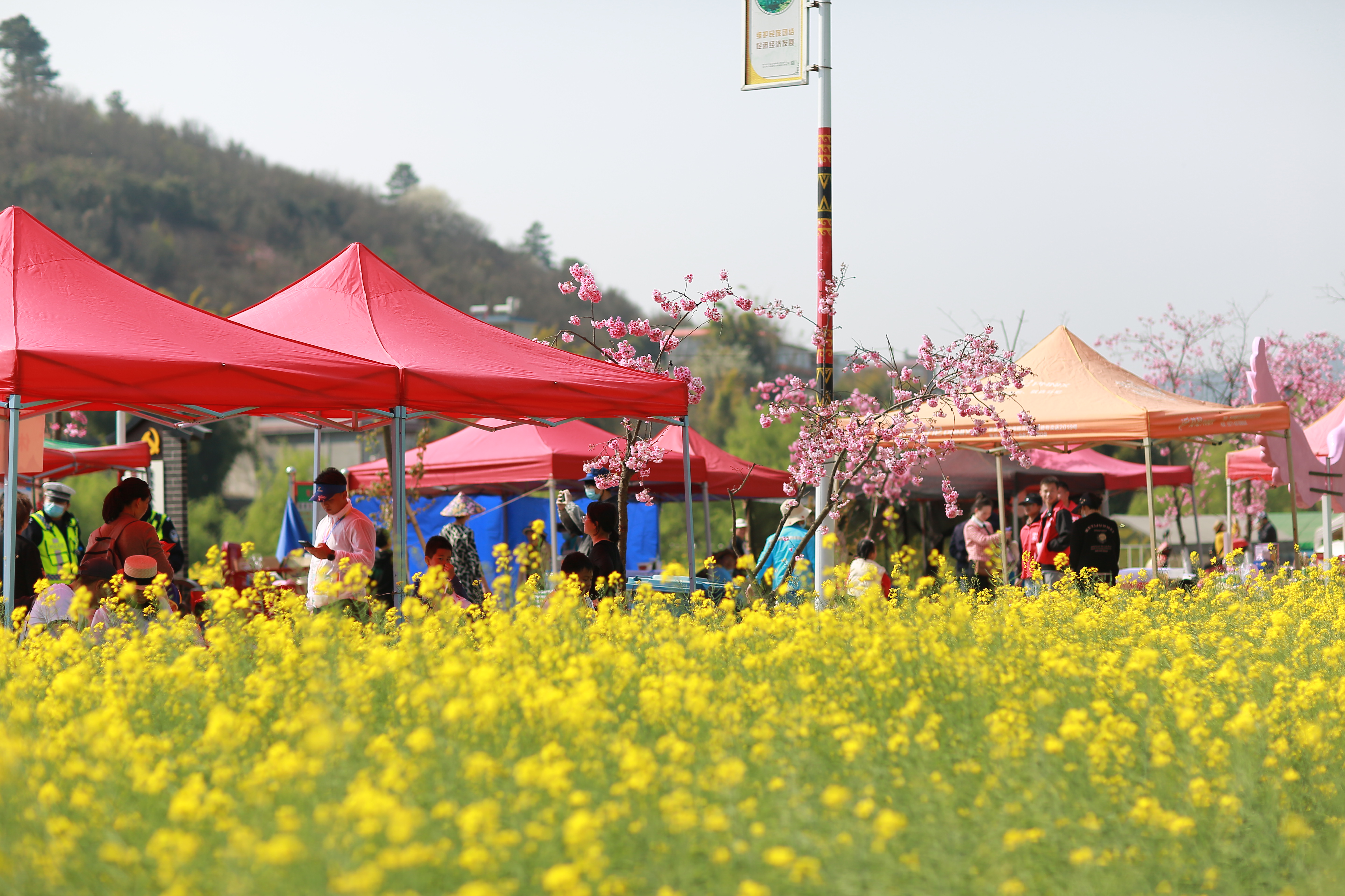 跑进春天跑进田园 昆明安宁青龙街道500名选手鸣枪起跑