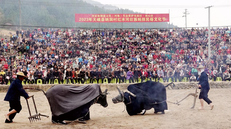 广西河池：万名中外游客欢度“壮族蚂拐节”_fororder_图片15