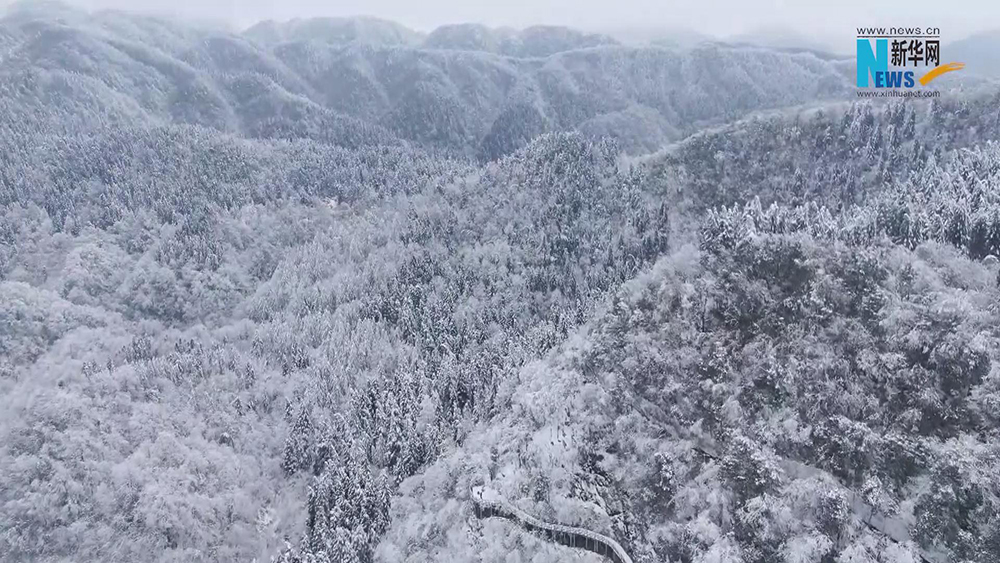 湖北咸丰：飞雪踏春来