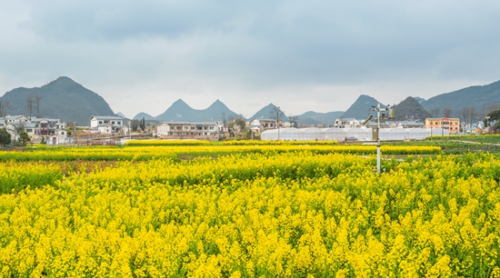 （原创）贵阳贵安2023赏花季活动将启动 89处赏花点“点亮”城市春天_fororder_76cfafc4b678662a36370575fc567f8