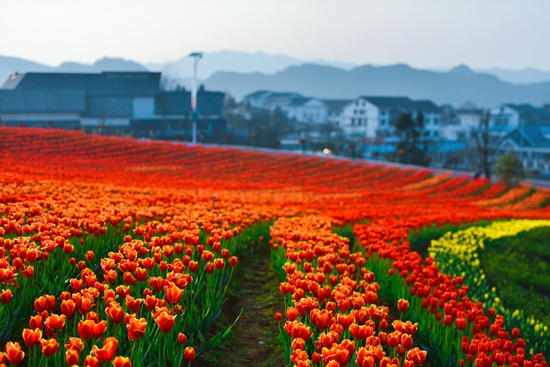 （原创）贵阳贵安2023赏花季活动将启动 89处赏花点“点亮”城市春天_fororder_afccda2654b82b35c874e4677da38b5