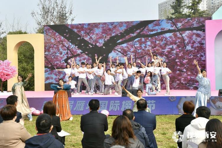 第七届雁塔国际樱花节浪漫来袭