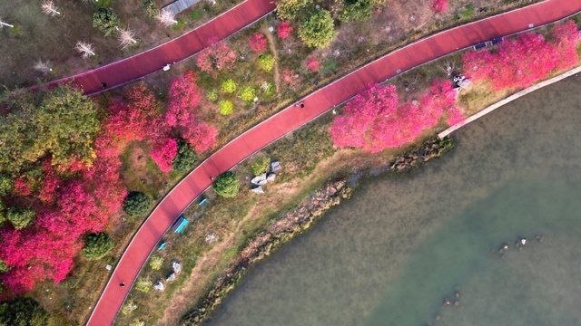 广西：又到桃花满山烂漫时