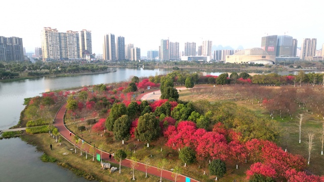 广西：又到桃花满山烂漫时