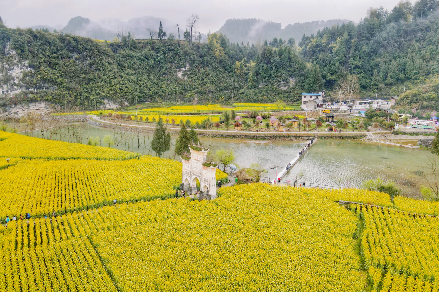 多彩贵州·花漾中国丨遵义凤冈长碛 古寨里的春日盛景