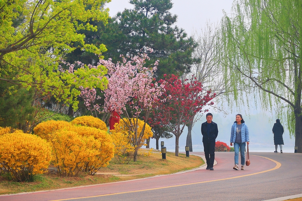 河南开封：花团锦簇 春到古城