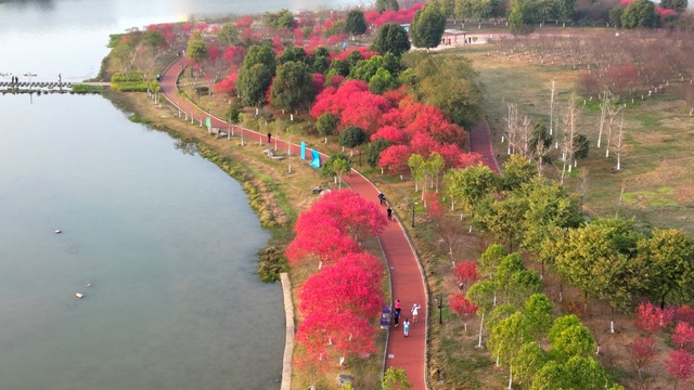 广西：又到桃花满山烂漫时