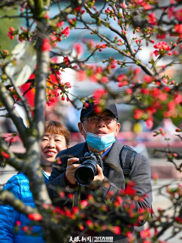 贵阳：莫道春来晚 赏花正当时